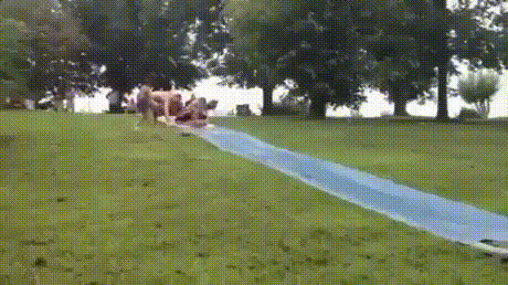 00e972c7da5ec5855a2b460767091687.gif