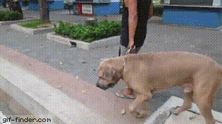 0162e1e7c656044470ab972daa2ab5ca.gif