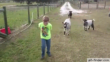 0dae25e6c0b6e616c2a32f575cc5b5ed.gif