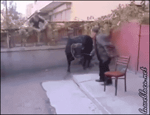 1380d5ce622b9333c5cfa79eabcd9c85.gif