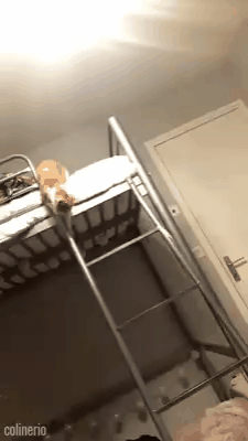 1571ac290ba9b034d07d9f5934ae44b1.gif