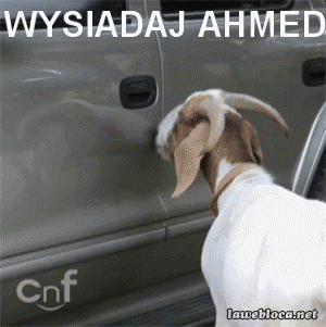 15debc5550a804b76716d46ff47834c9.gif
