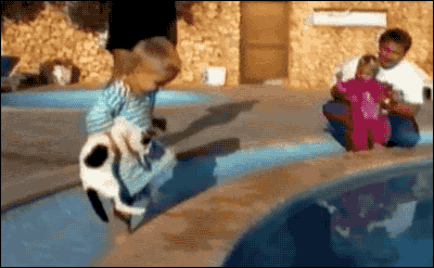 1a33a96b53dfef9bd9b63bc0858c864d.gif