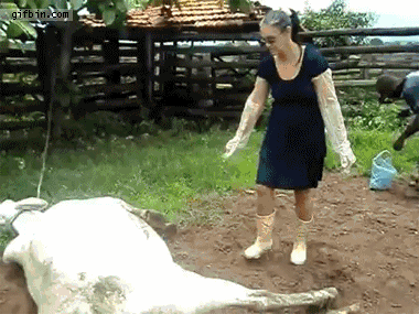 1ba8ea90fea9a10b08135fbfb718fb77.gif