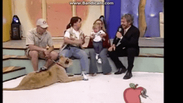 1d2c961e973a9c17423be6be73c83221.gif