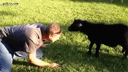 1fc5c6ad9cca301bc5322641f7574350.gif