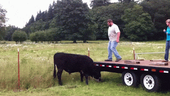 21dd567e600f9a0d2971555199c5a0e4.gif