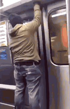 230abe4921634624c263a6f2cc9fb148.gif