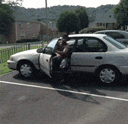 [Obrazek: 25cdbf5e2e36adefa4fd1fdb0ff39b6d.gif?s=1474061825]