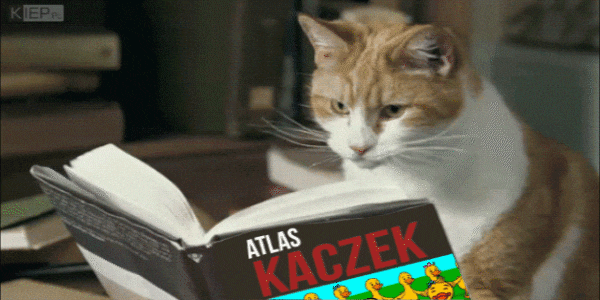 268dd6fc94bd1c3032eb4cb38302ddcc.gif