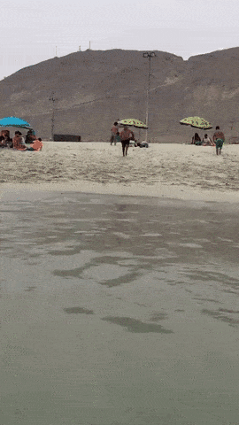 26b837295543548b27eb45aeff59432d.gif