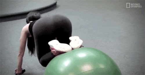 2bb79d6bce2f87e6dcb4c3ea91148d91.gif