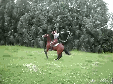 2ed57872f2bb63e01f59d9bcec6fefbe.gif