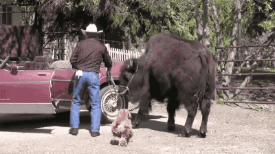 30ee97a8f6cc14f82ea6ec5ad089485e.gif