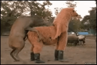 323f8beffc2686550e4d9ffa22ada0c9.gif