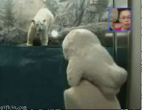 3650890de1201c2c067afc8889448431.gif