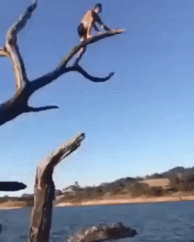 398528d0e9b3c51acb52a2271a36e56c.gif