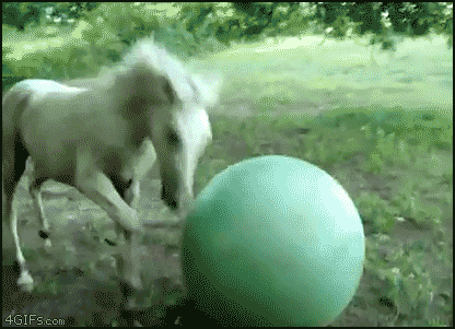 3d7a8997376d5a2a5741f5d9898aa4a2.gif