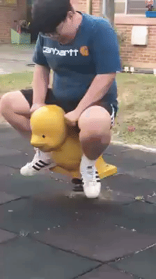 43d5072c97977a3d85fe52eba1d1fc1a.gif
