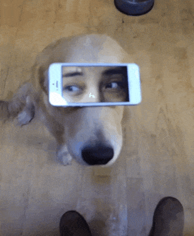 43fc92c39d8683e0d7d3e6b079a0d743.gif