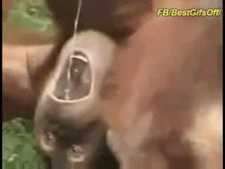 4f6179458889a3d6318ac6ab2d30f9e5.gif