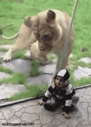 574388f2b744326d6aae2e4a3851622e.gif