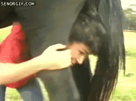 5e67163fb6cb65794ff630a97773cefe.gif