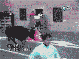 5f53a8008887cbc9ffb85723ba3c264b.gif