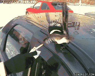 6029ba33eca5c89844282f14183717c1.gif
