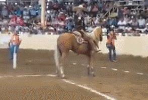 6624b24e731cfc5a0809238aab6afb25.gif