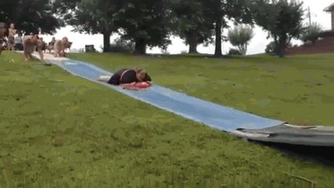 66a3553535246884a2b95587bf9cef06.gif