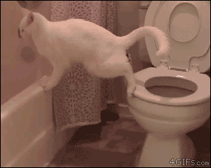 6f22bfd11fc69971e72985e78281335f.gif