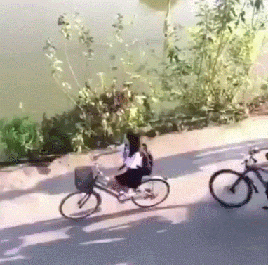 706667616639b5411a3dc95b1018ff9d.gif