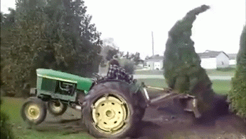 71e29306331db0e1ddf8d6dc411c0bd1.gif