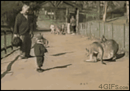 79b52098e8bcfa6acdb6cbf2179793ba.gif