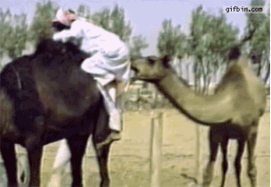 808e1a63a78ee7feaed2749220eb3ddc.gif