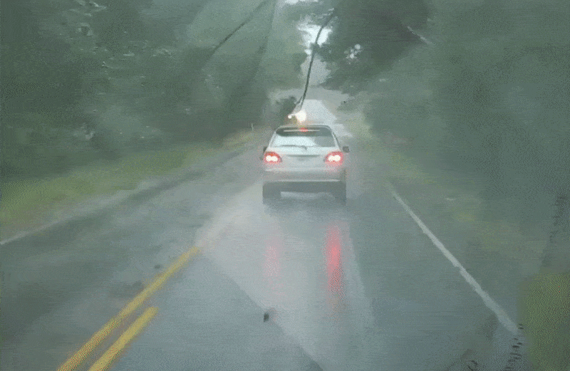 89d7ac61cb25e2dd75ec9e1b4763b1f0.gif