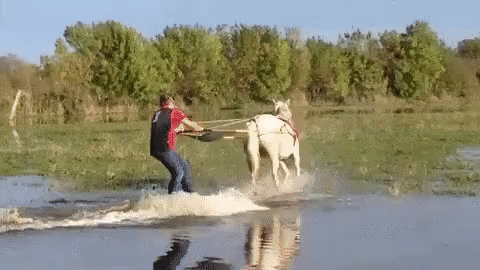 8bd3e9d2f2247ac6b536d0c58b63f6e4.gif
