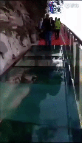 902eb08c59a778385655f140ab6ef8c4.gif
