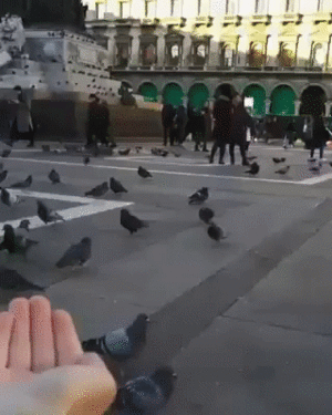 9556f0e6693686a79bdcfe31bec5aca8.gif