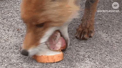 9d310fb378c96e20e488404470a75b2e.gif