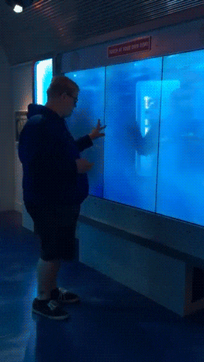 9ee996354e96bf17a808c719e01d3130.gif