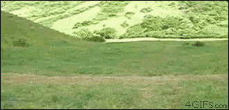 a27598447de3ac7ba6ca22673a9fa19c.gif