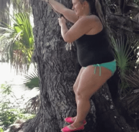 a60b5765c0dbba8803f0373167a53288.gif