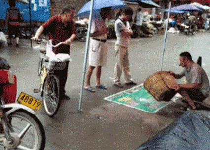 a969ebcd519a658858984f334164ebc4.gif