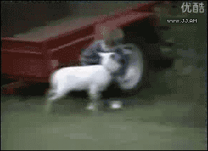 bde979d8695f5b51570d859e95ffbbcf.gif