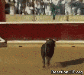 c75e9311027feb23a8261b9083270639.gif