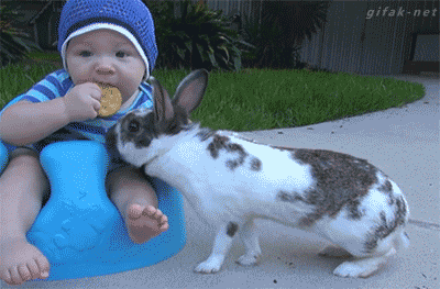 c941a42d7f0f73e587fb6b3b15ceb7d2.gif
