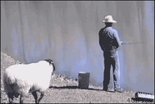 cdef40bf6e96cc9776a711bde0af091c.gif