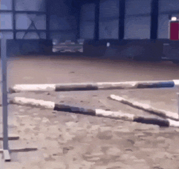 cf5008f5c3e2dbdbe8957397b708b2e8.gif